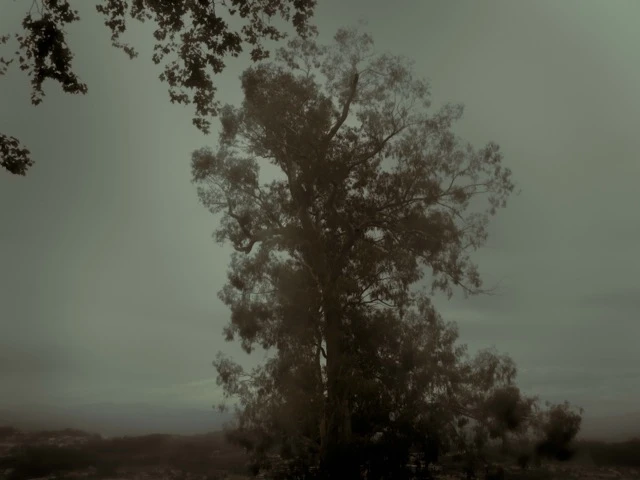 Photograph from EDADUAS