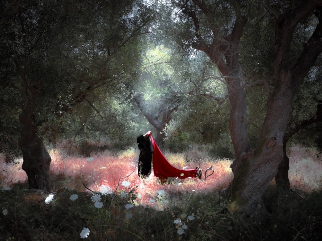 Photograph from THEORIA