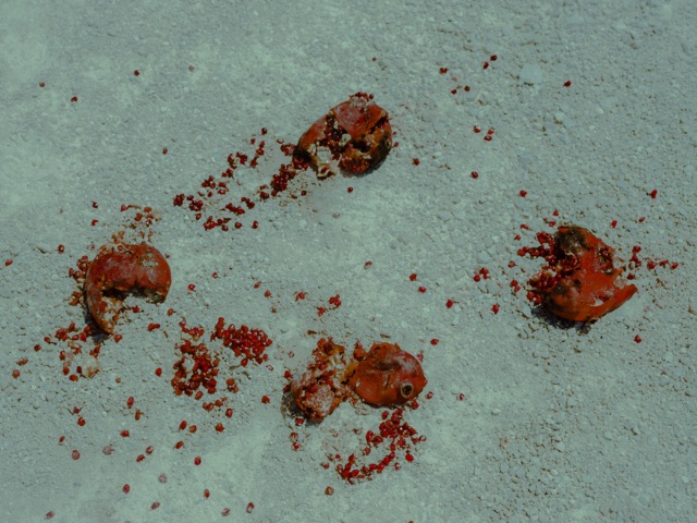 Photograph from THEORIA