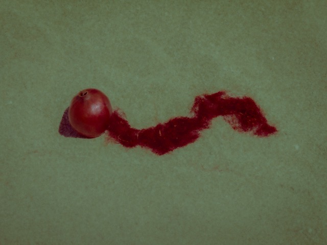Photograph from THEORIA