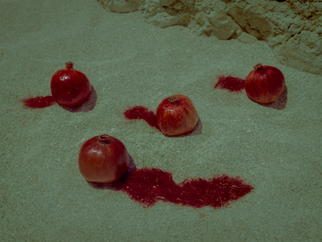 Photograph from THEORIA
