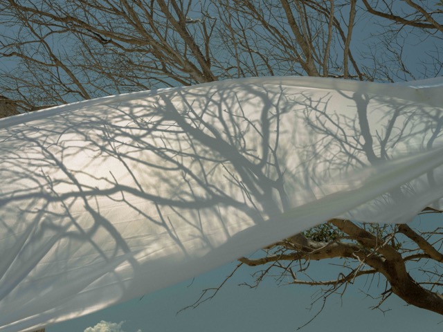 Photograph from THEORIA